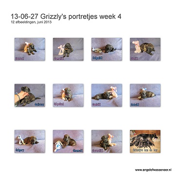Grizzly's portretjes week 4, ze zijn hier 3 weken oud